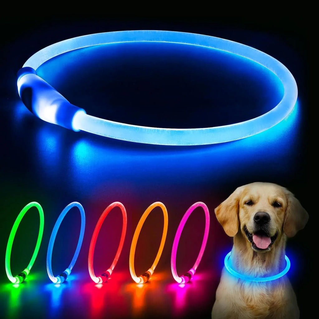Blue USB-rechargeable LED dog collar glowing on a dog's neck, showing the 70cm adjustable TPU strap.