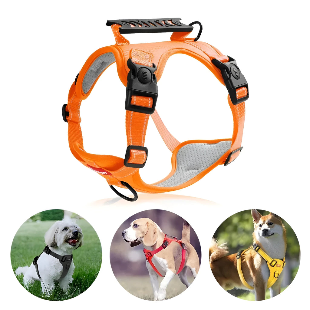 Polyester dog harness and lead set in multiple colours with adjustable chest strap