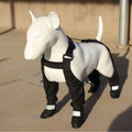Black polyester waterproof dog shoes with non-slip soles for paw protection