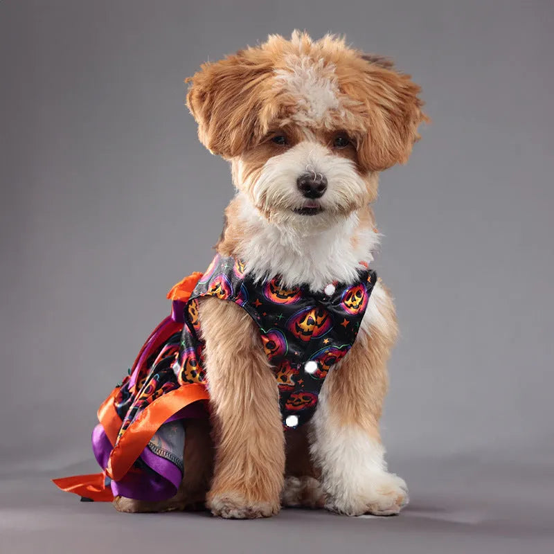 Halloween dog skirt with colourful pumpkin pattern, double-layer polyester construction