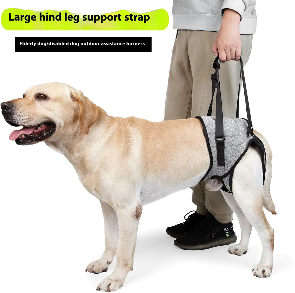 Grey neoprene dog rear leg recovery belt showing adjustable waist and thigh straps on a size chart.
