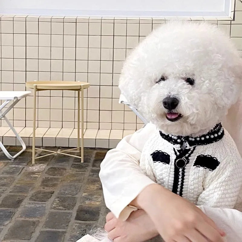 White Korean style dog sweater with pearl collar on a small dog, showing Princess design