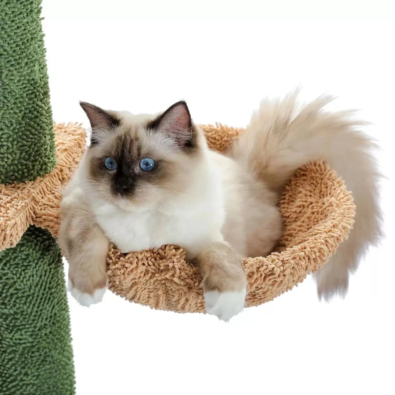 Cactus-themed cat climbing frame with integrated nest and scratch board, solid wood and density plate construction.