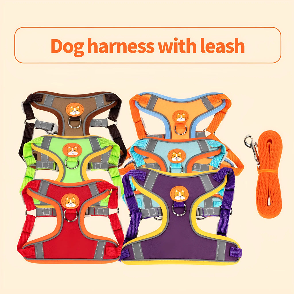 Blue adjustable dog haulage rope harness with chest strap on a medium-sized dog.