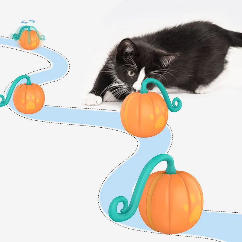 USB rechargeable electric luminous cat teasing ball toy in watermelon or pumpkin colour.