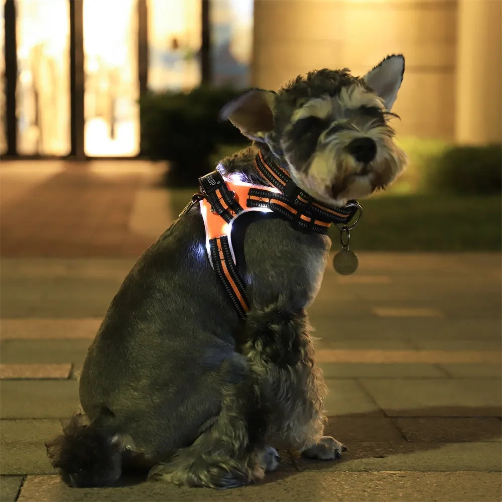 Glowing dog collar in 1000D Oxford with LED lights and reflective strips, adjustable strap, available in Black, Green and Orange