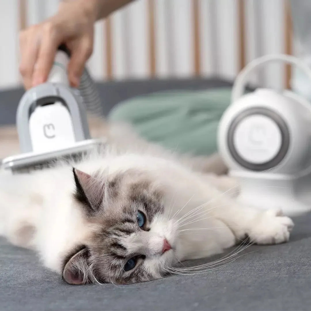 White ABS plastic pet grooming clippers kit with electric scissors, combs, and cleaning brush.