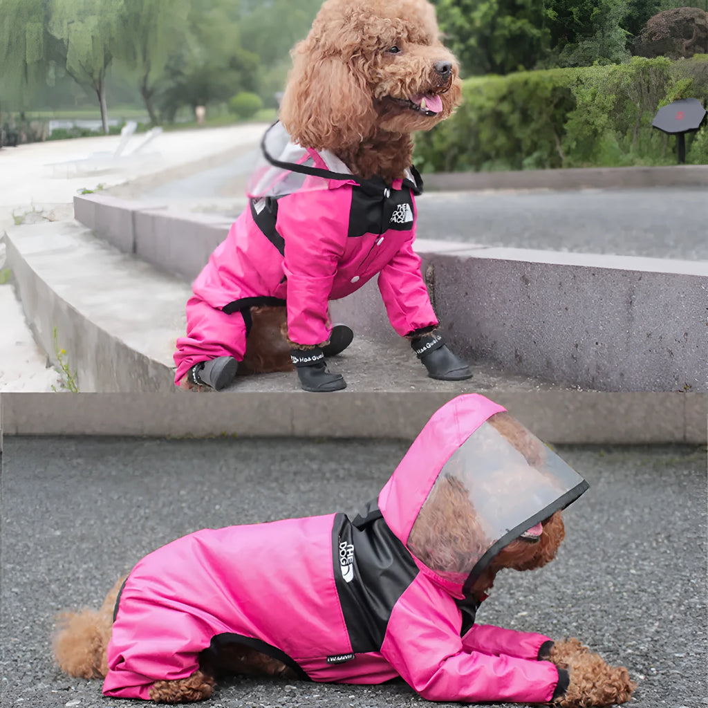 Green long-legged dog rain poncho with transparent brim on a dog