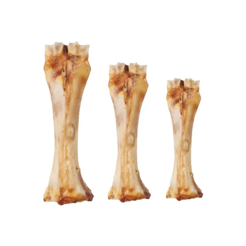 Large puppy dental chew stick with ox bone flavour for molar cleaning and training