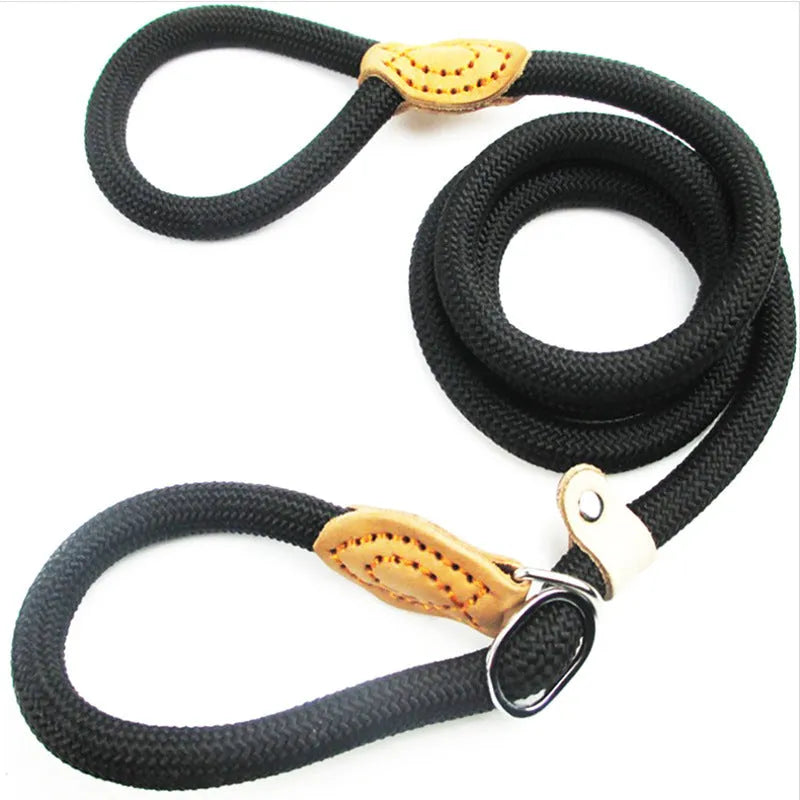 Brown nylon dog lead with P-chain handle showing rope-style construction