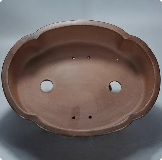 Classical purple clay bonsai pot with green plant old pile design measuring 50cm long