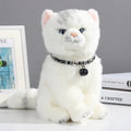 Coloured adjustable nylon pet collar with a metal buckle and brass bell in black, blue, pink, red, and white options.