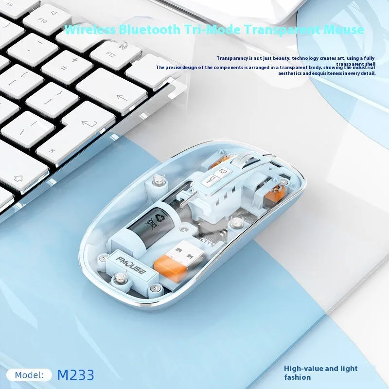 Transparent wireless computer mouse with USB connector showing internal components