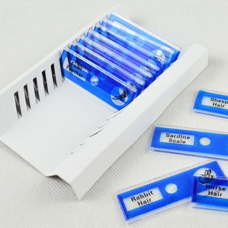 48 plastic microscope slides with colour-coded edges showing plant and animal specimens for children's science education