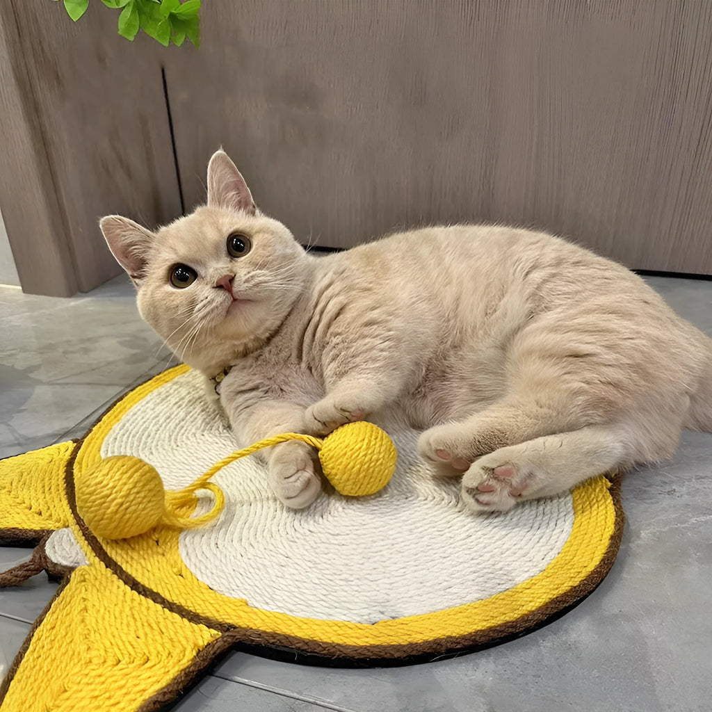 Yellow Corgi design sisal cat scratcher pad with anti-slip base measuring 37x40cm
