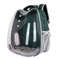 Transparent cat bag portable cat backpack hard zipper 34cm x 40cm x 28cm with cat ear colour options