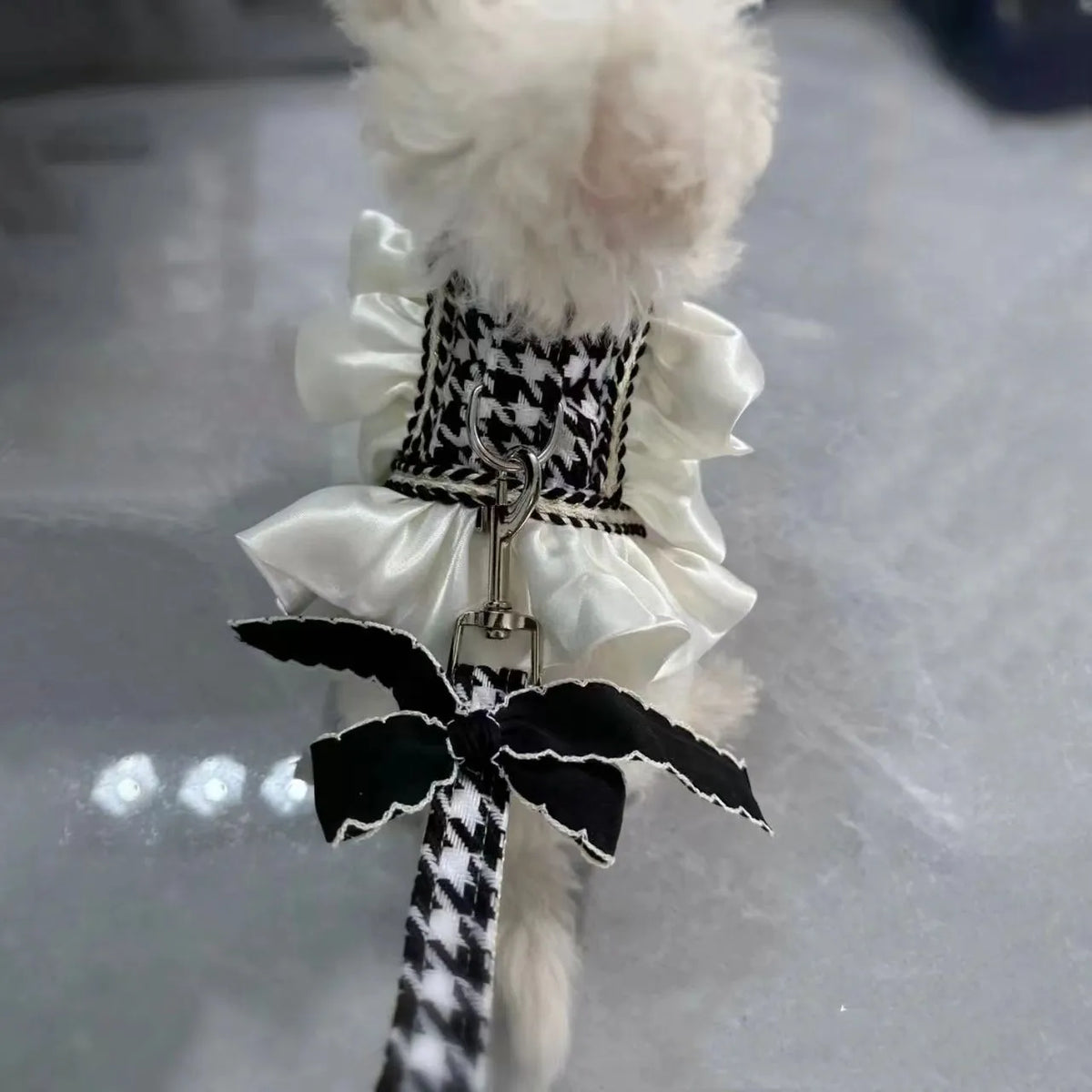 Polyester dog cat vest with hand holding rope, classic style traction, princess style, sizes XS to 2XL