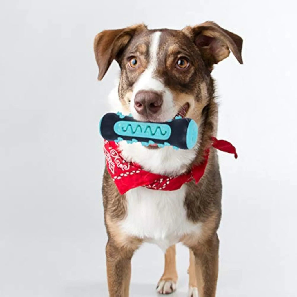 Natural rubber dog toothbrush chew toy in one of four colours, measuring 15cm long