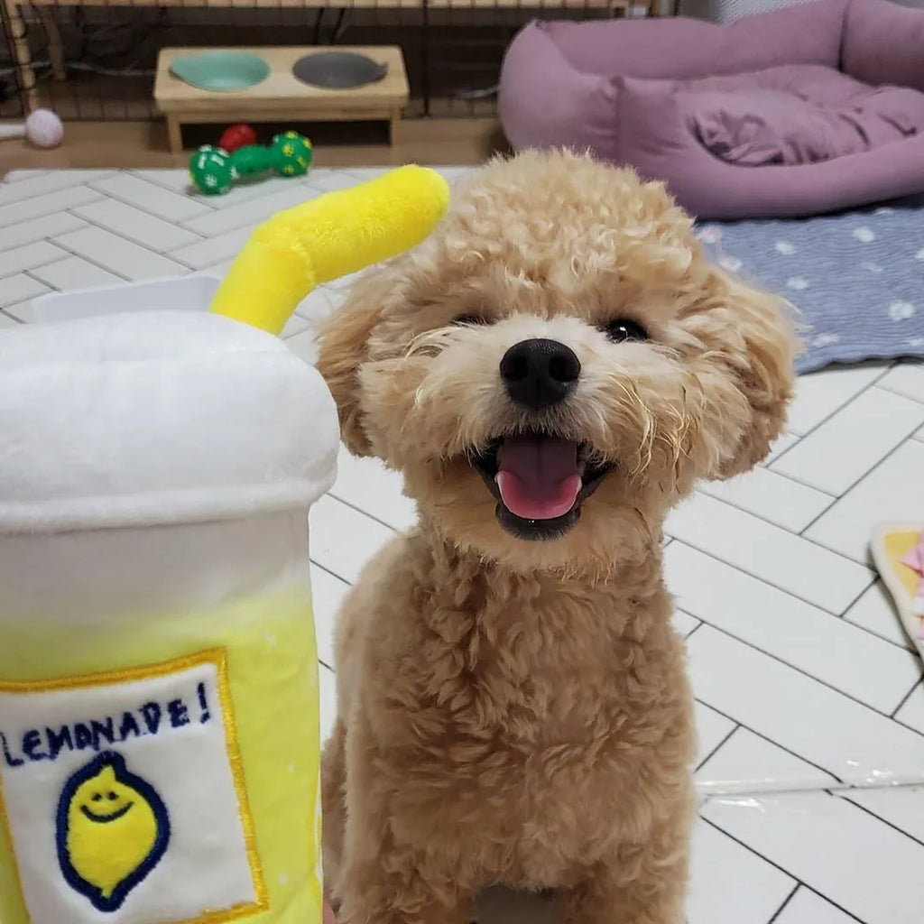 Yellow plush pet voice toy shaped like a lemon tea cup with squeaker and side snack pocket