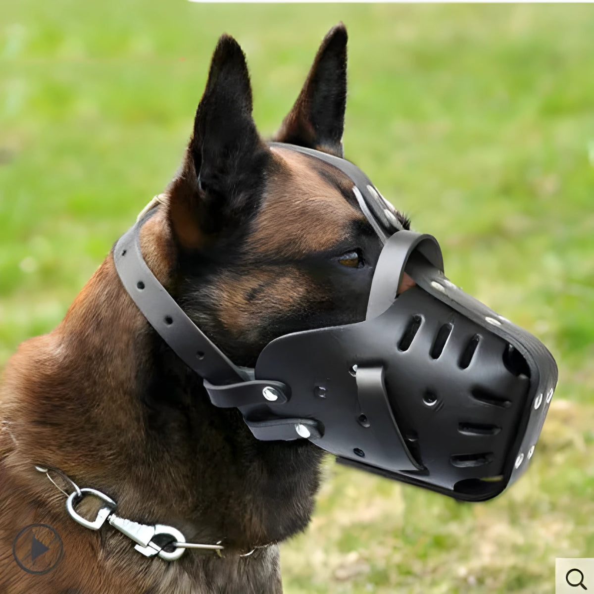Black cowhide basket dog muzzle for medium and large dogs, sizes L and M, soft leather mouth cover.