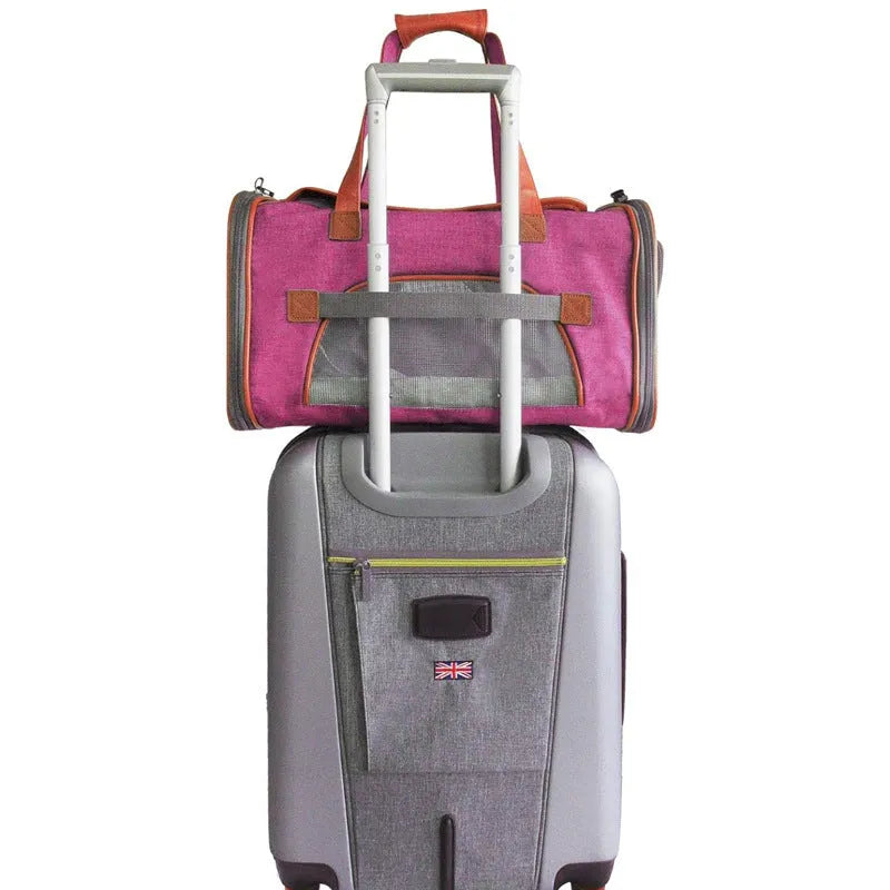 Large capacity waterproof Oxford pet bag in dark gray for cats and dogs