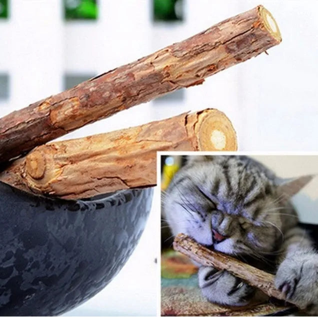2 pcs matatabi catnip chew sticks, natural plant shoots for cat molar teeth cleaning