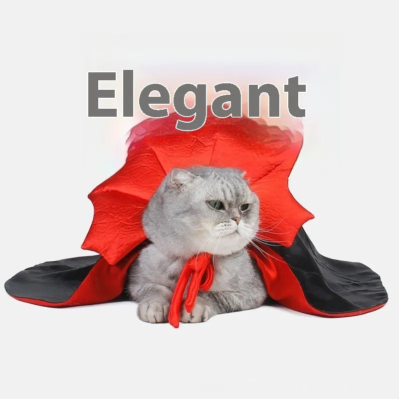 Black and red Halloween costume for small pet cat or dog with European American style