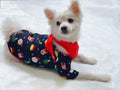 Family matching Christmas pyjamas set in cotton with plaid and cartoon designs for adults, children, babies and dogs