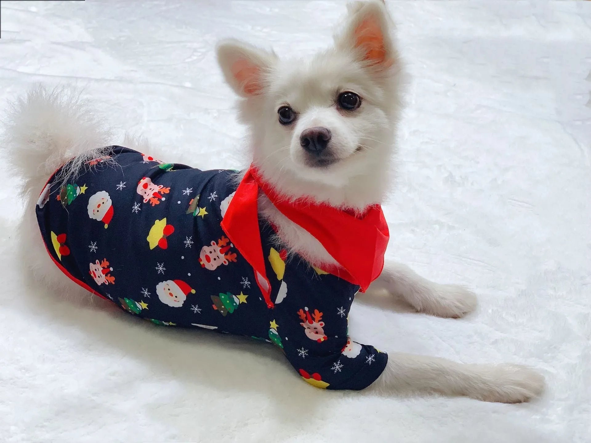 Family matching Christmas pyjamas set in cotton with plaid and cartoon designs for adults, children, babies and dogs