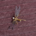 Golden dragonfly-shaped women's hair clip made from alloy with a side fastening.