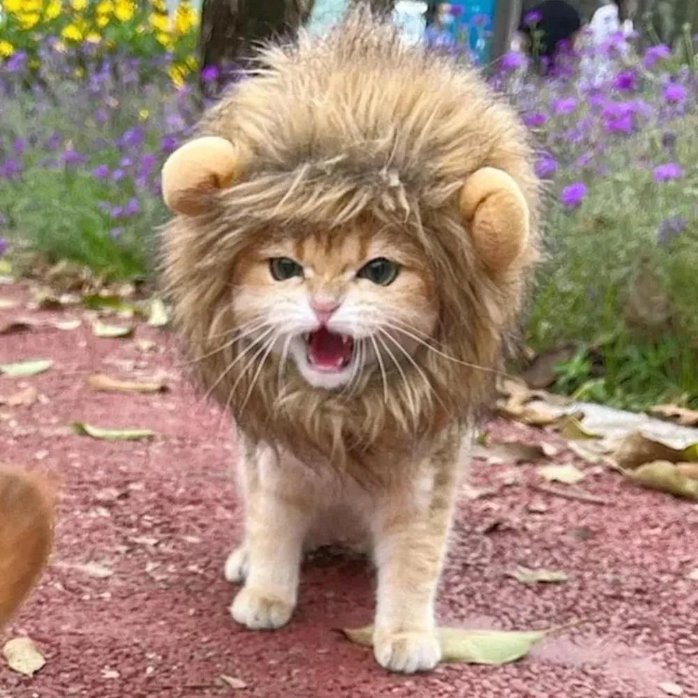 Soft lion mane wig with plush ears for cats and small dogs on a grey background.