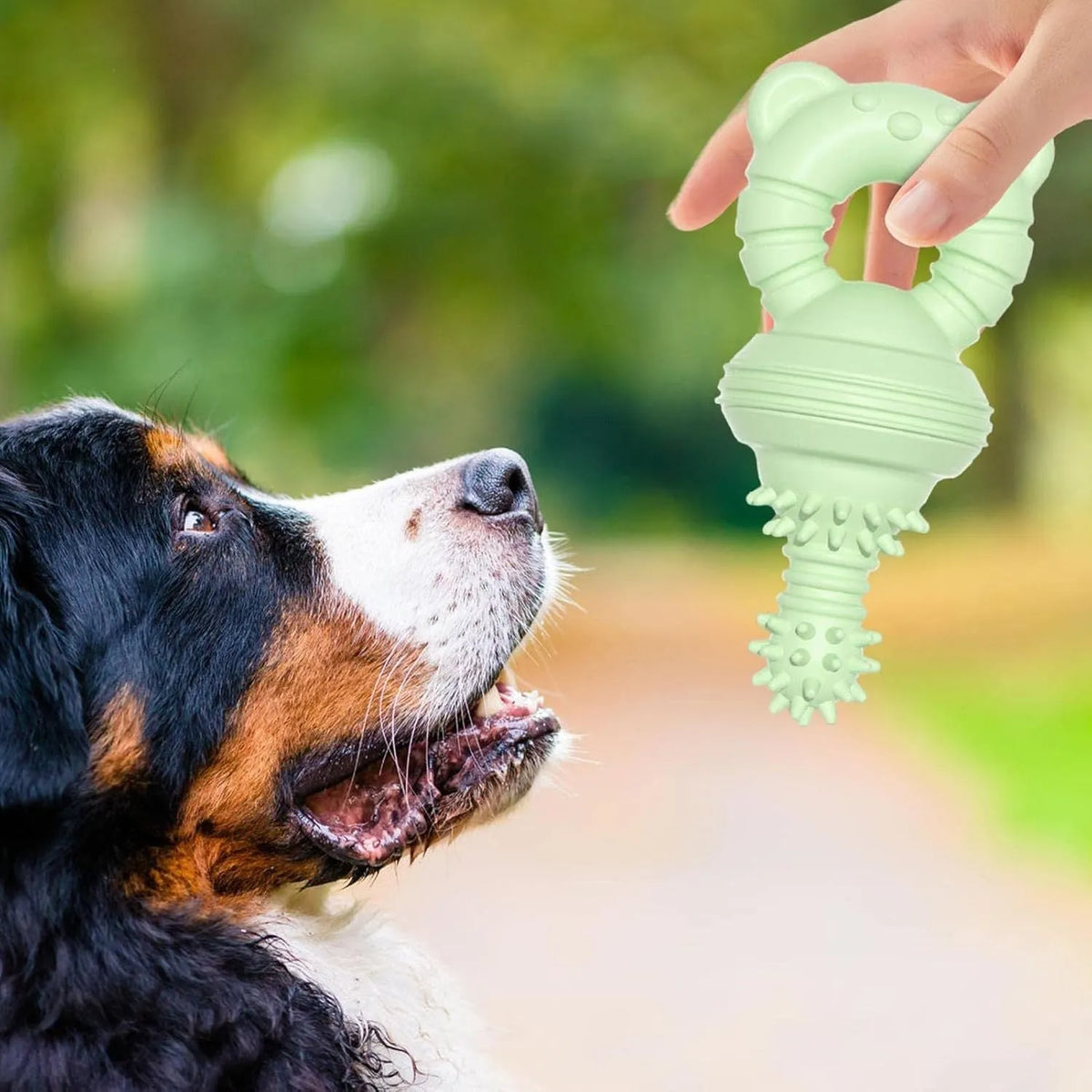 Blue rubber dog chew toy with textured surface and bell feature for teeth cleaning and play
