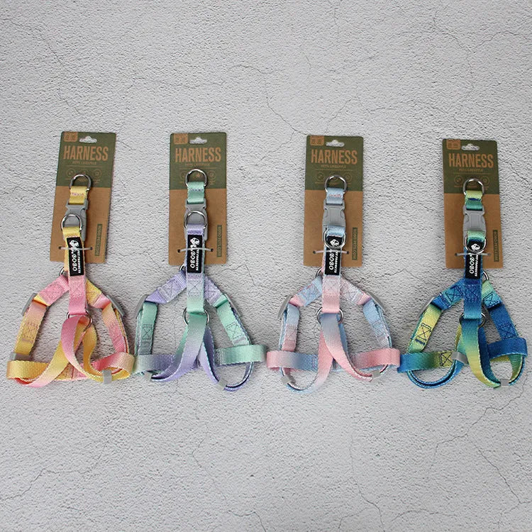 Nylon dog leash in a pink and blue gradient colour pattern.