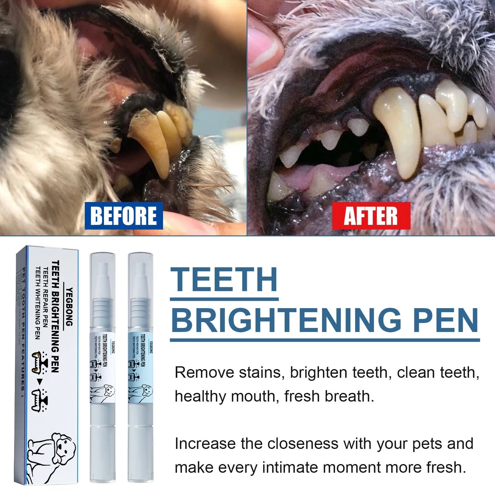 Pet teeth whitening pen with brush applicator for dog and cat tartar removal