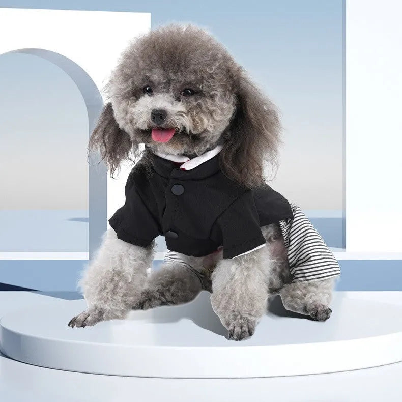 Thin cotton poodle clothes for spring and autumn in skirt and trousers styles