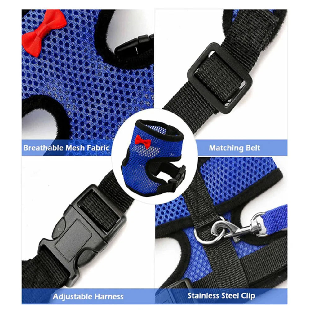 Coloured poultry vest harness and matching collar with bow set for chickens or ducks, shown with a 110cm lead rope.