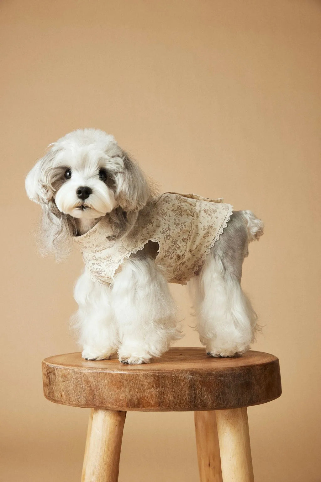 Cotton printed sleeveless dress for small dogs Teddy Schnauzer Bichon Yorkshire