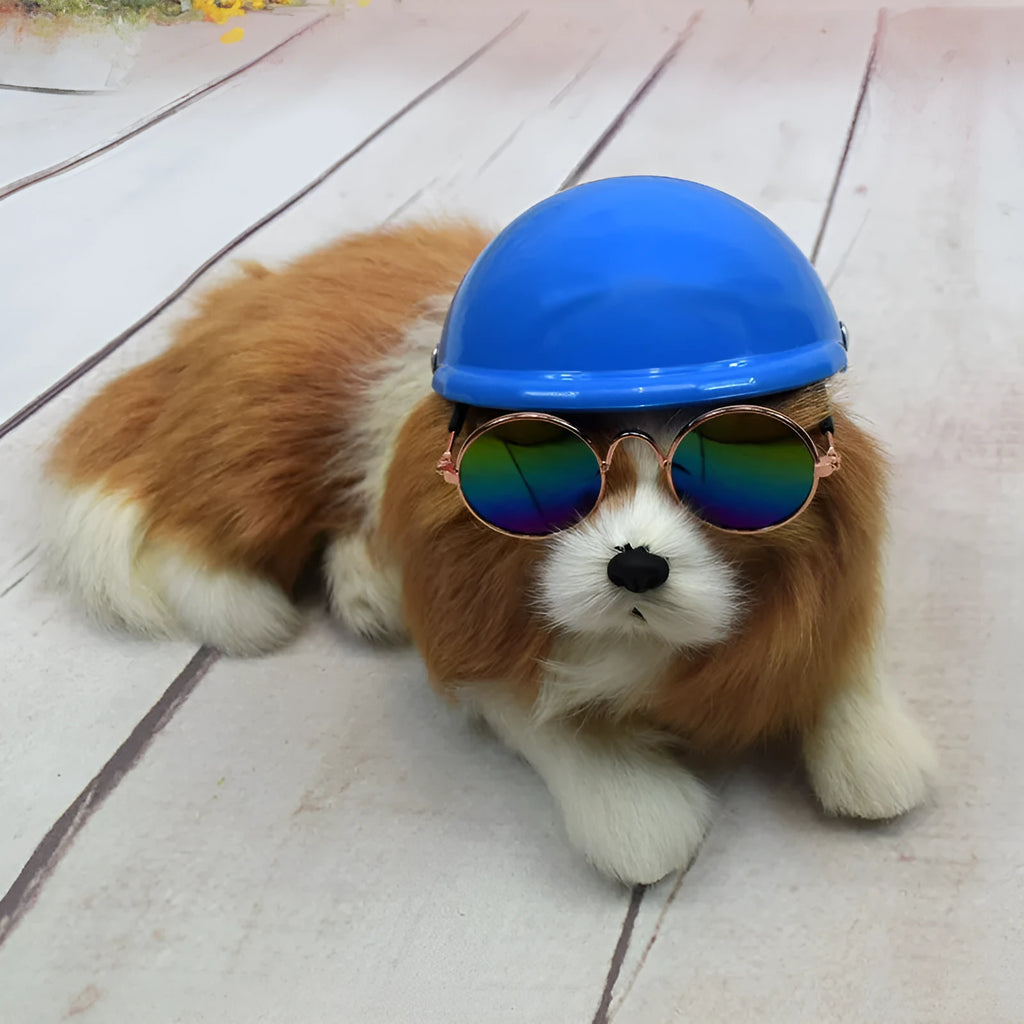 Plastic dog motorcycle helmet in solid colour with three size options for small medium large dogs
