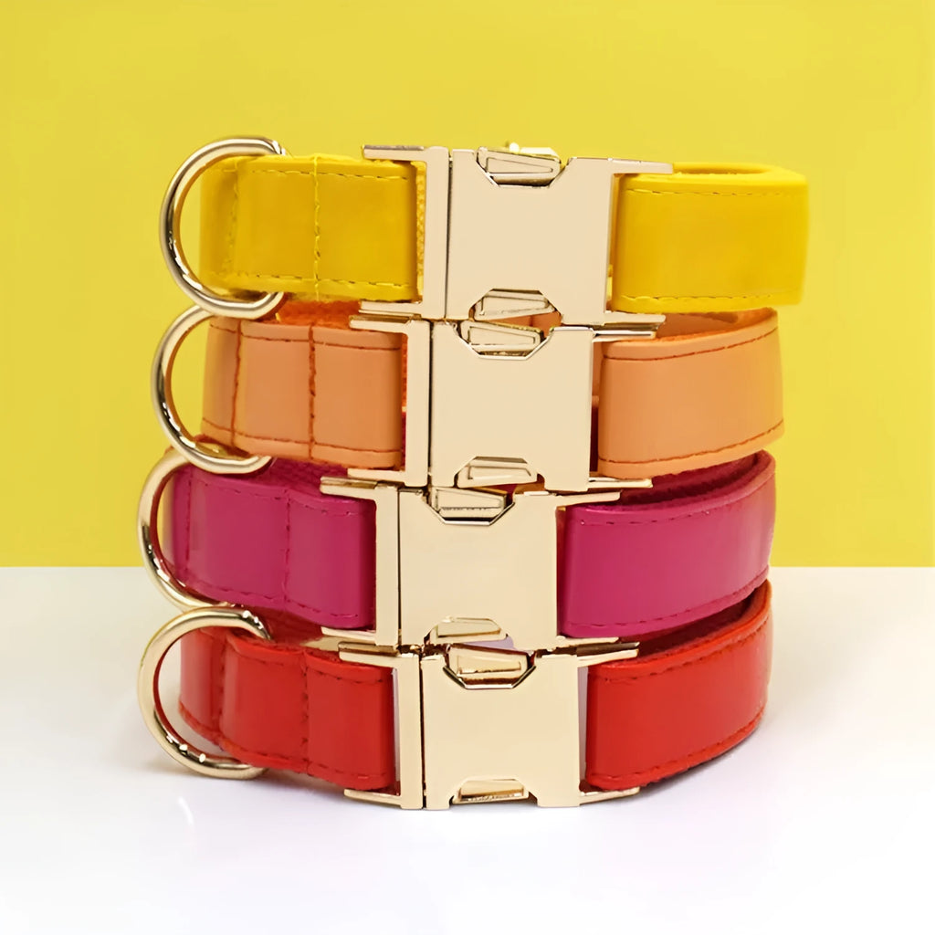 Leather dog collar with colour-block velvet design shown in multiple colour options