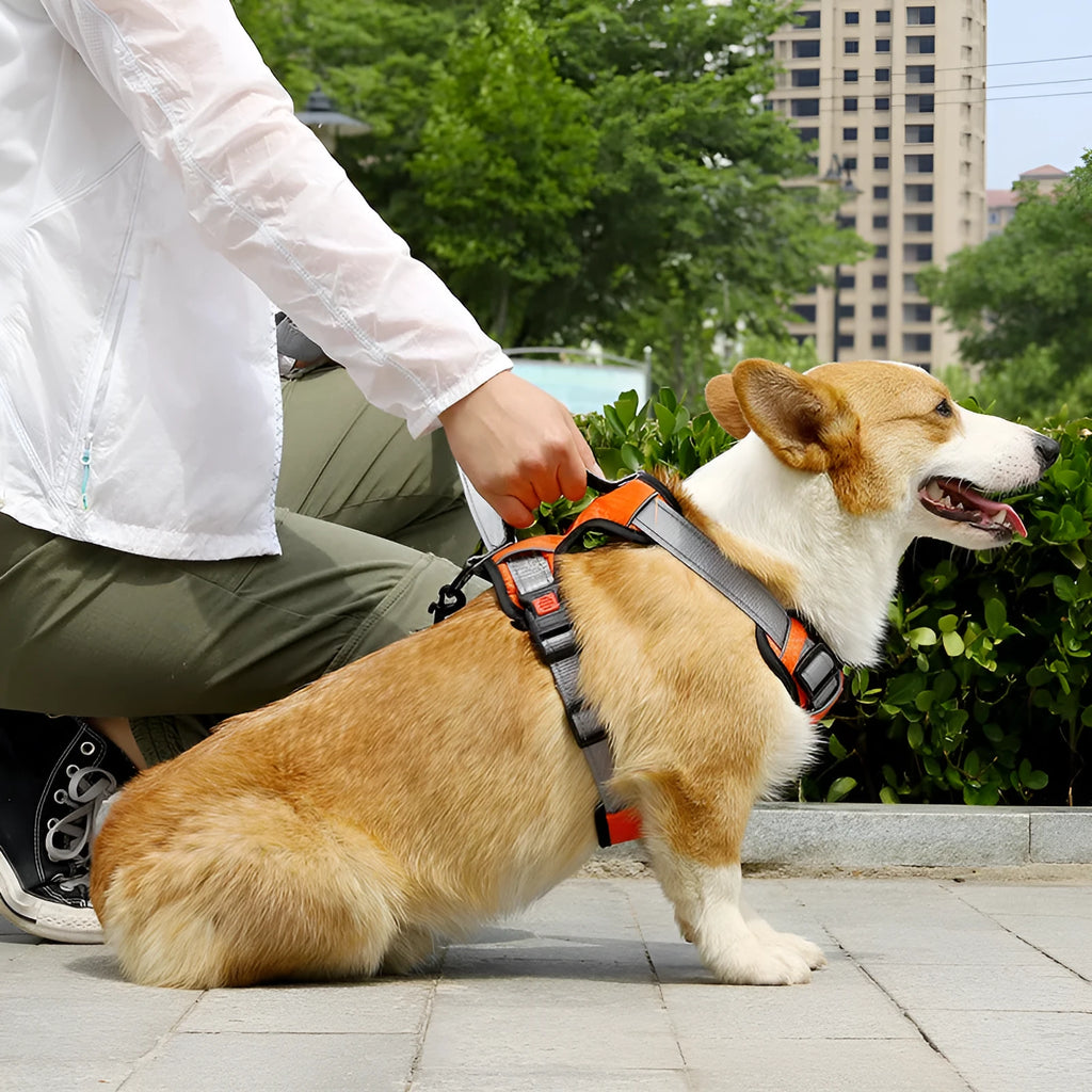 Adjustable dog vest with chest strap and hand-holding rope in multiple colour options