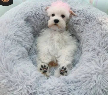 Round long-hair plush pet bed with raised 20cm sides, shown in a choice of colours and diameters from 40cm to 120cm for cats and dogs