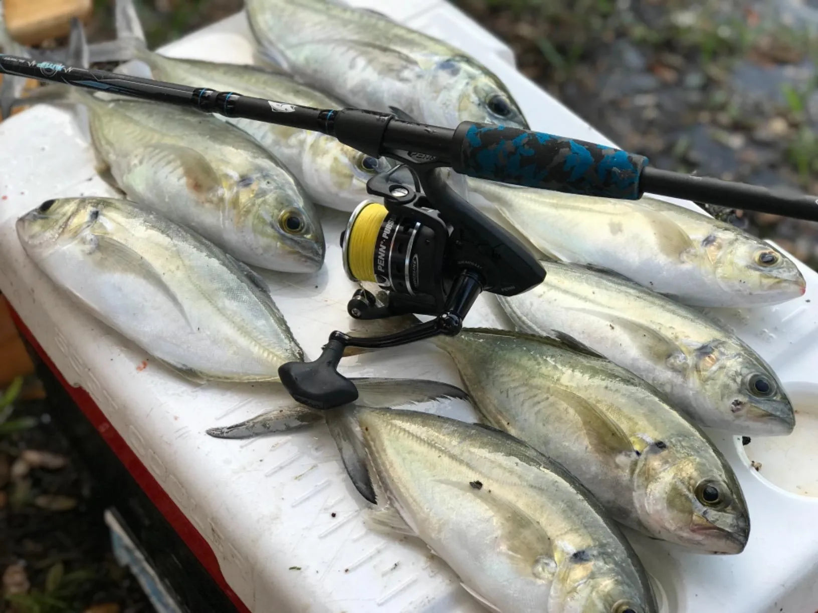 Puriv metal sea fishing spinning reel with metal spool, available in sizes 3000 to 6000