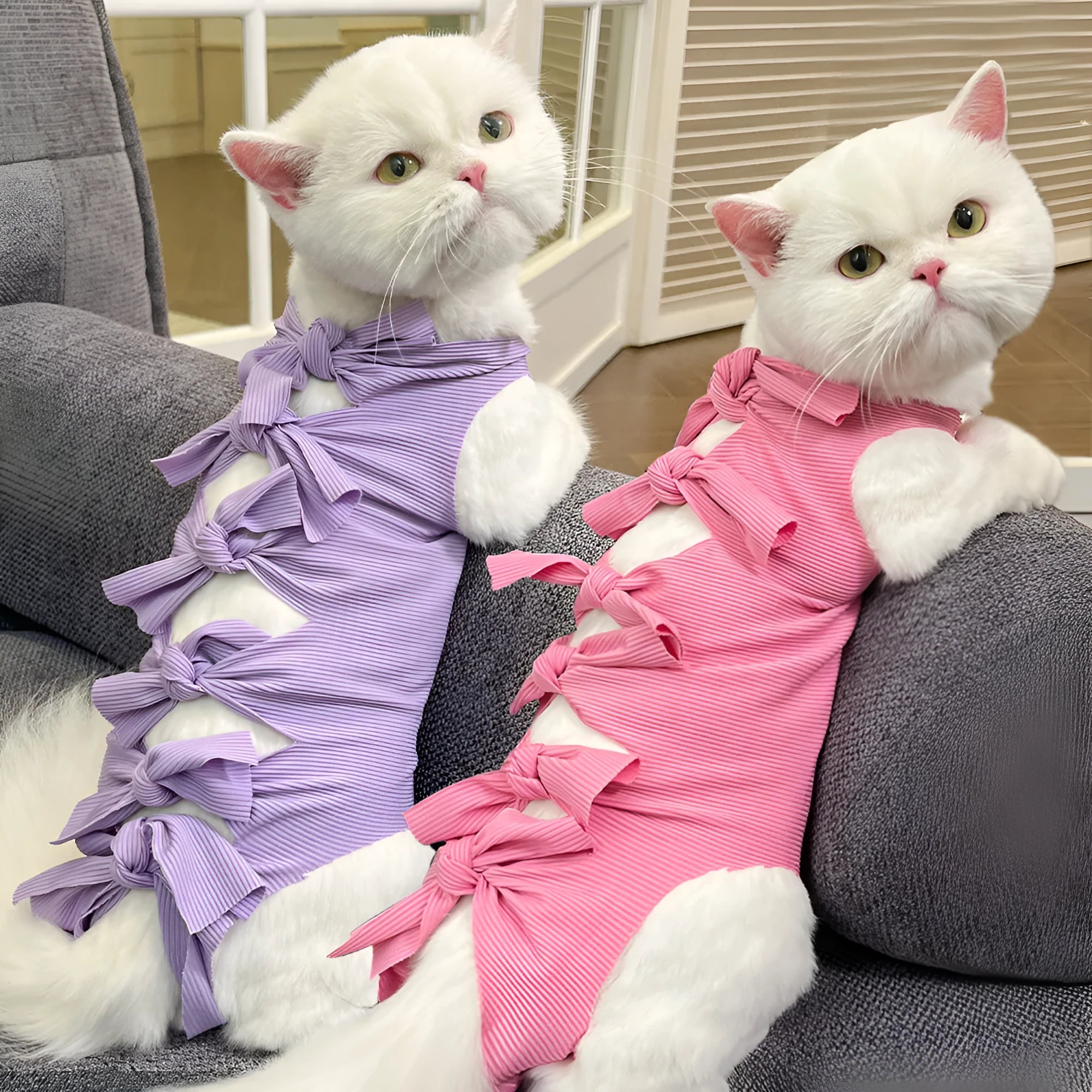 Lace-up cat sterilization recovery clothing in polyester with adjustable sizing for post-operation protection