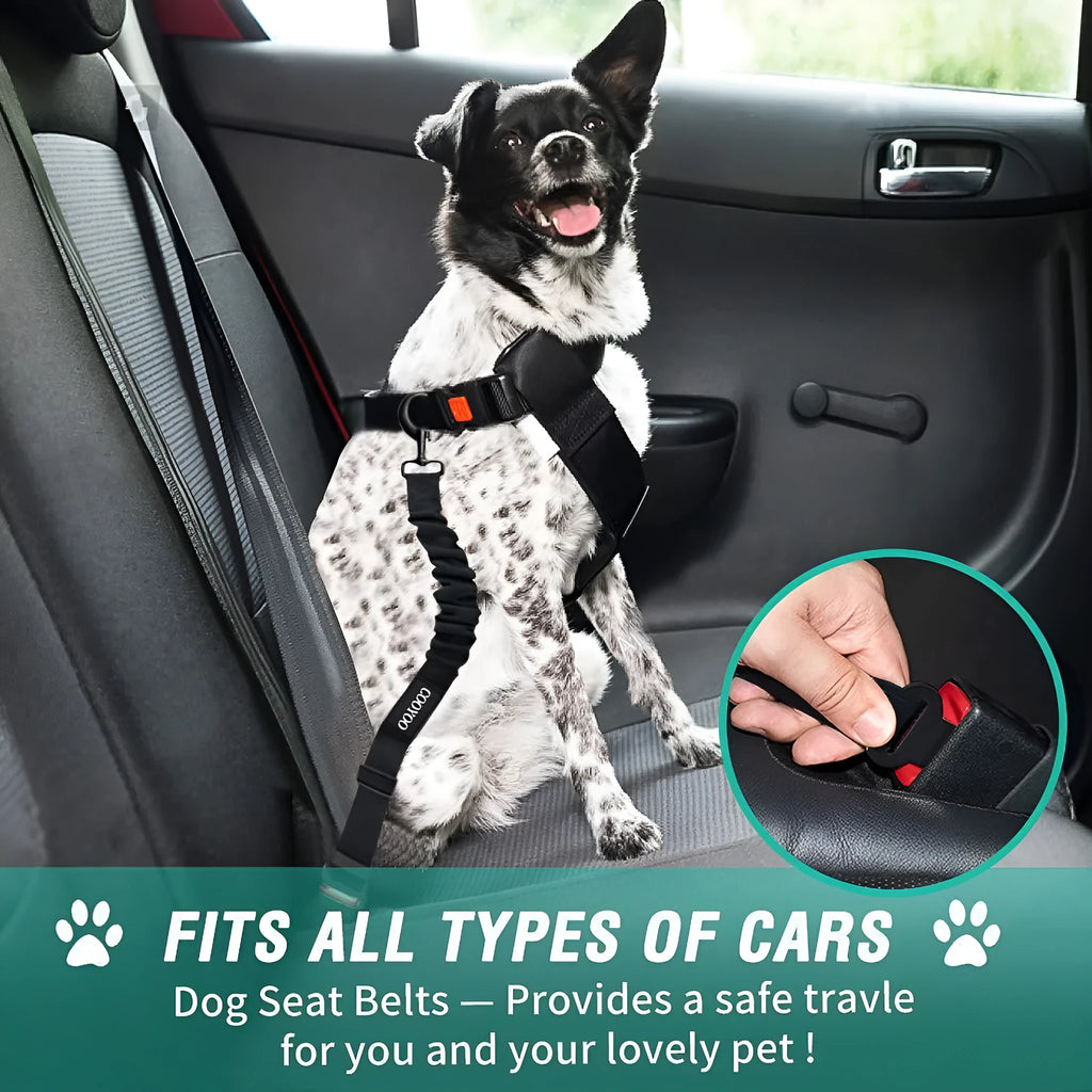 Nylon pet seat belt with adjustable 85cm to 2.54cm rope and explosion-proof hand holding design in nine colours