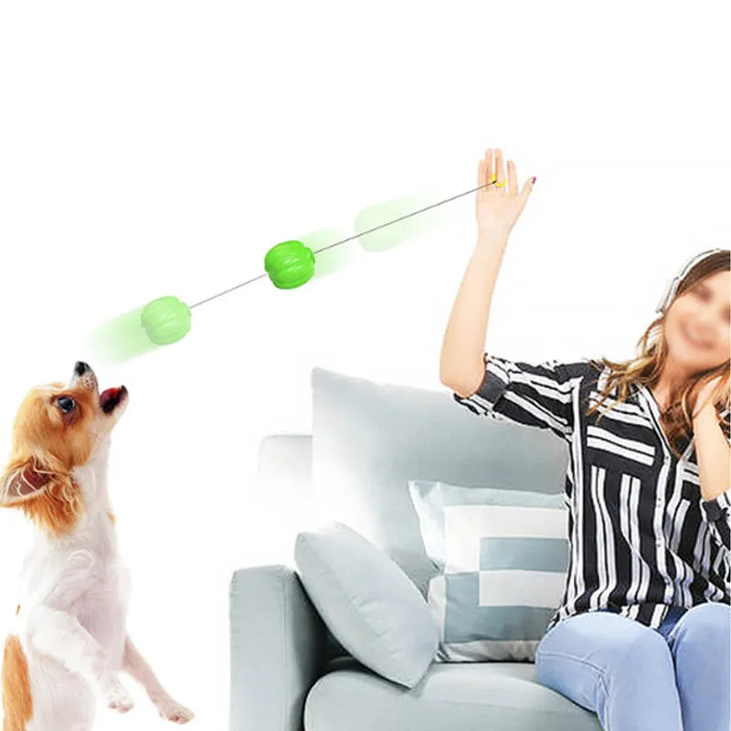 Plastic orange pumpkin-shaped dog chew toy with squeaker for small dogs on a green background.