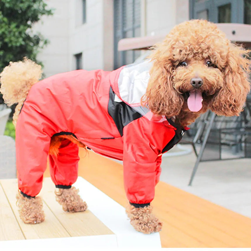 Green long-legged dog rain poncho with transparent brim on a dog