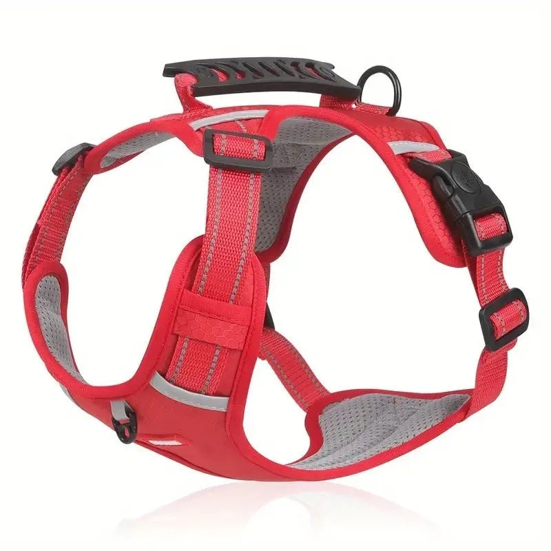 Polyester dog harness and lead set in multiple colours with adjustable chest strap