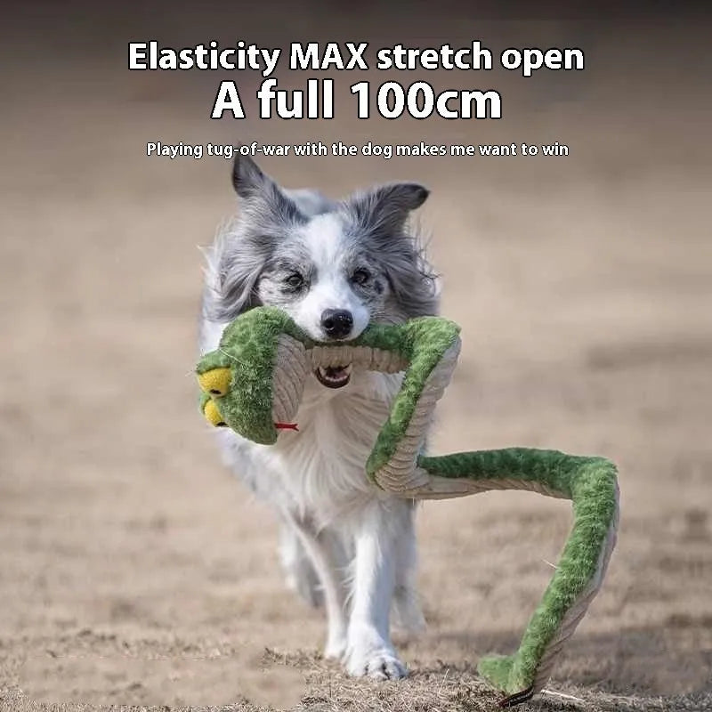 Plush dog molar toy with sound in green or purple, soft chew toy for general dog use