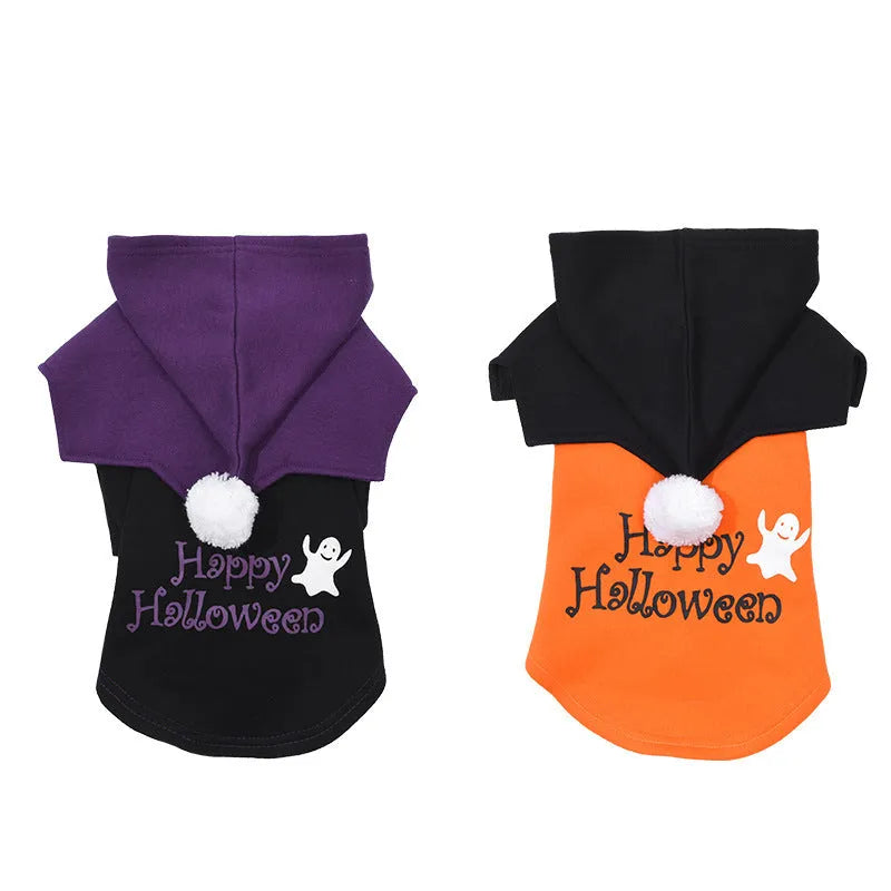 Black and orange Halloween pumpkin dog sweater and shawl set on model dog