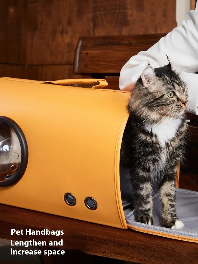 Portable pet carrier bag for cats and small dogs with shoulder strap